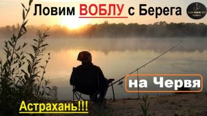 🔥ВОБЛА и РЫБАЦКОЕ ВЕДРО🔥на Волге в Апреле в Астрахани !!!