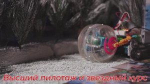 Гимн Деталька 2025
