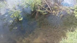 Кидаем магнит в речку ищем клад