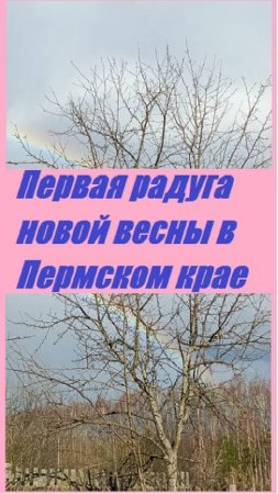 Первая радуга в Пермском крае в этом году!