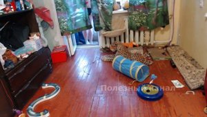 Самвел на БАЛКОНЕ Приколы Самвел Адамян Юмор любимого блогера