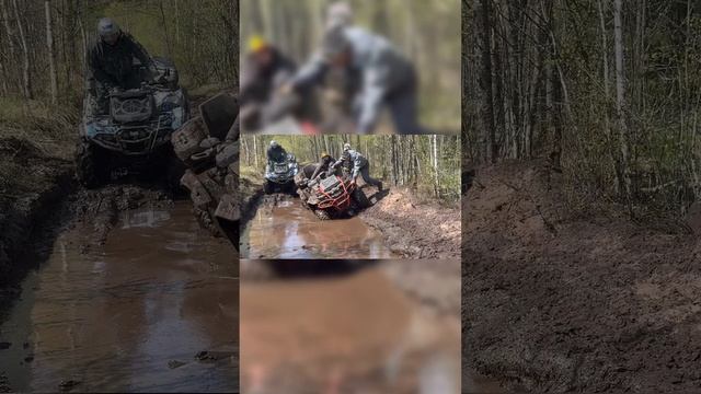 Мир.Труд.Май.Квадро