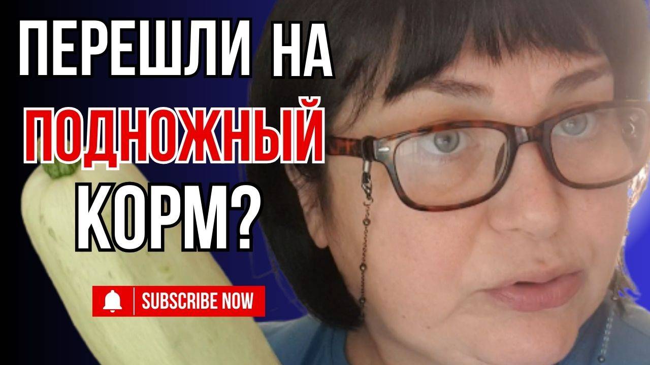 СГОРЕЛ АВТОМОБИЛЬ/БАНАНОВЫЙ ХЛЕБ/РУЛЕТ ИЗ КАБАЧКОВ