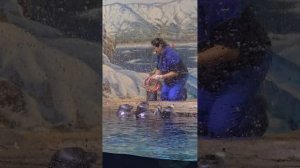 Байкальские нерпы показывают трюки