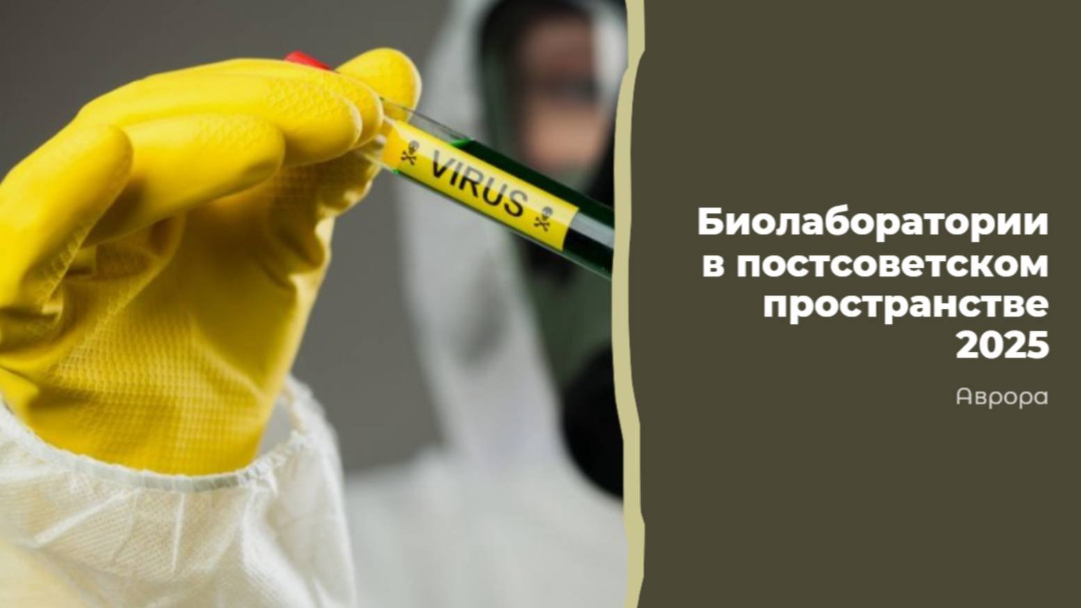 ТАРО #Аврора #гадание  Биолаборатории в постсоветском пространстве 2025