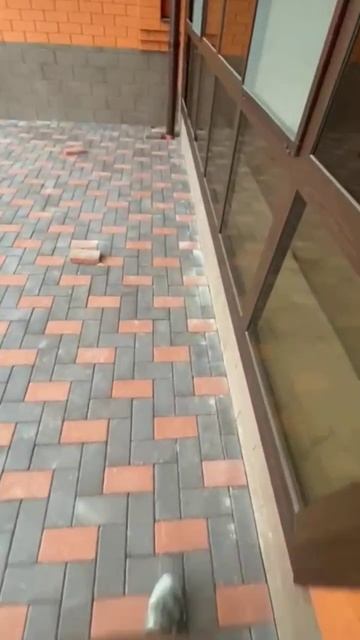 укладка брусчатки смотреть онлайн