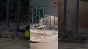 Приколы, подбор, смотри с друзьями √22