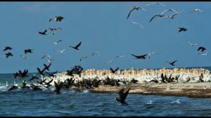 Заповедники