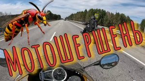 МотоШершень