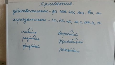 Действительные и страдательные причастия