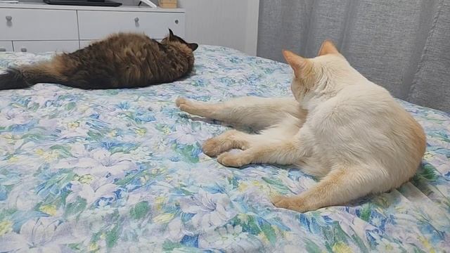 моемся2 смотреть онлайн