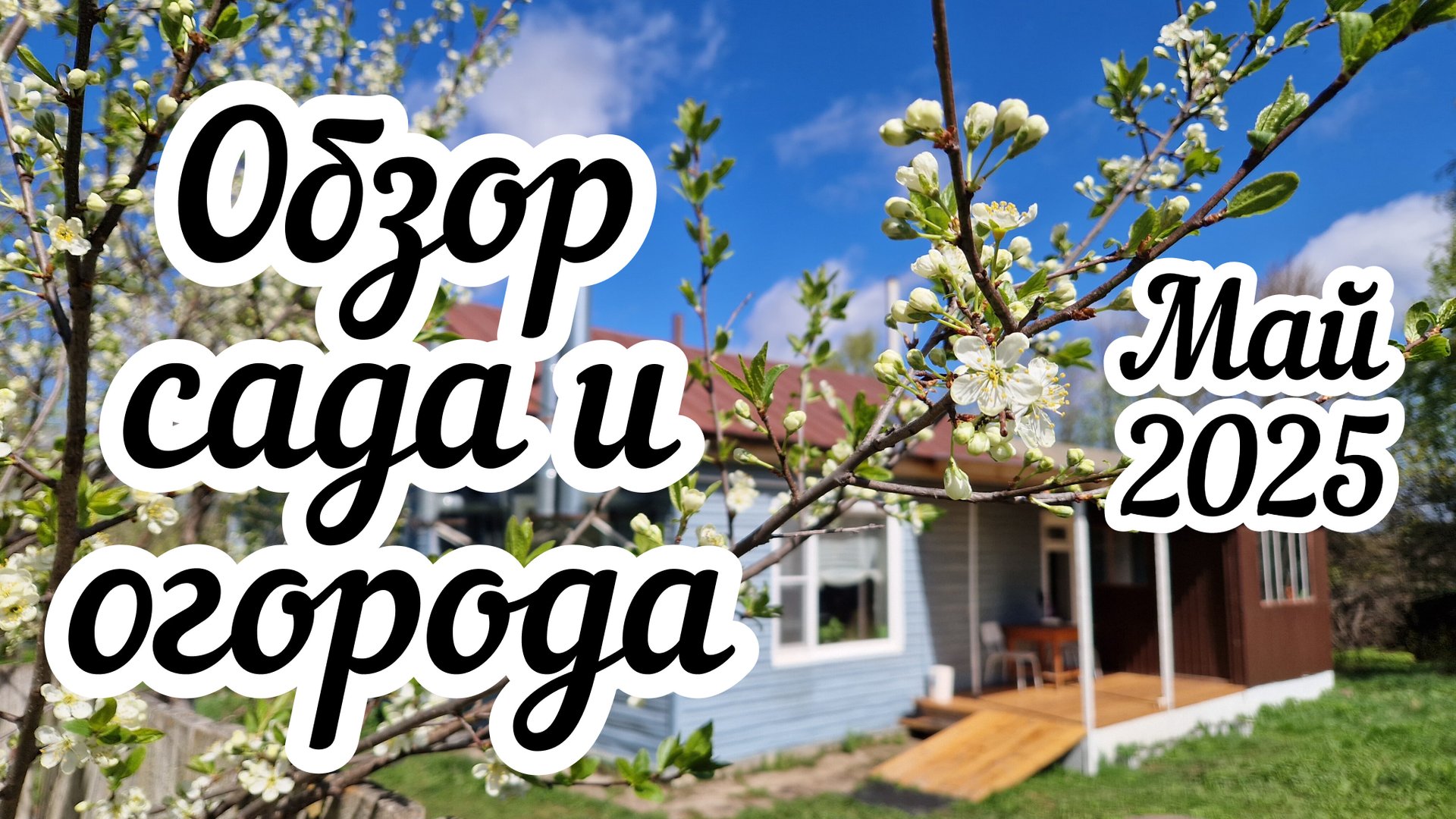 Обзор моего сада и огорода 🍓 Майские труды 👩🏻🌾 смотреть онлайн