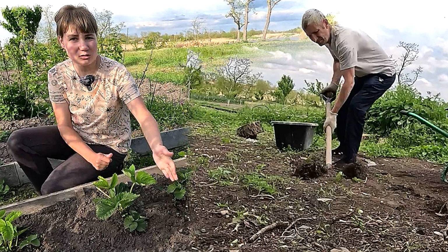 Работа в деревне и прочие прелести!