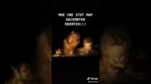 мне абсолютно понятен этот мир-прикол,смех,настроение