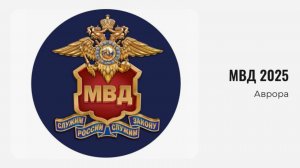 МВД 2025
