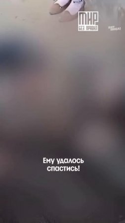 От таких историй мурашки по коже 😳
#МирБезПравил — воскресенье 23:00