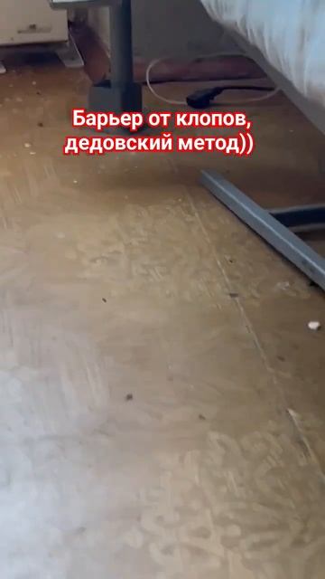 Защита от клопов. барьер с водой. #cockroach #bugs #bedbugs #pestcontrol