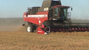 Уборка гороха на скорости: ГОМСЕЛЬМАШ GS2124 в деле!