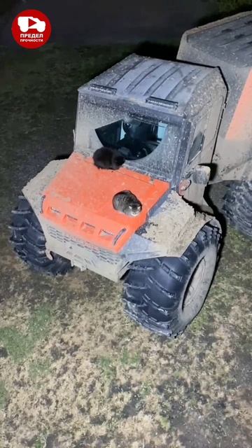 Доступна скидка 50 тысяч рублей при покупке вездехода TINGER по промокоду "Т00100"