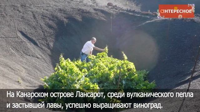 Развлекательный контент Маршрутного ТВ