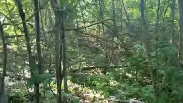 строем шалаш часть 1 смотреть онлайн