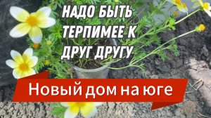 557ч🏡04.05.25-Купила рассаду огурцов и капусты/Кафель в ванной/Посадила клубнику/Видео не грузит