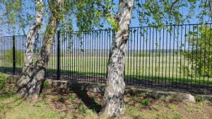 Прогулка по деревне, деревенская природа, атмосфера и уют в деревне, жизнь в деревне