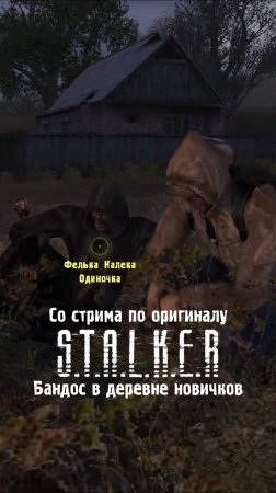 БАНДИТ в ДЕРЕВНЕ НОВИЧКОВ на стриме оригинального S.T.A.L.K.E.R. тень Чернобыля