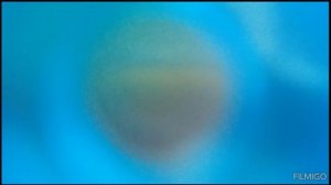 война (1 часть)