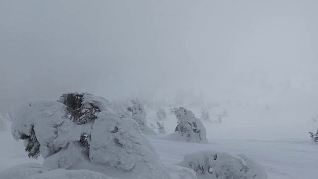 метель Драгобрат 2022 смотреть онлайн