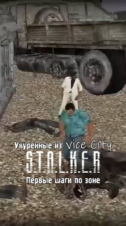 Укуренные из вайс сити сталкер vice city Первые шаги по зоне отчуждения
