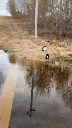 батя сказал))))
