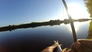 ВОТ ЭТО БОЛОТО! ЩУКУ ЕЛЕ ВЫПЕР!Рыбалка в городе в кувшинках
