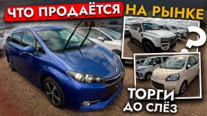 БОЛЬШОЙ ОБЗОР АВТОРЫНКА❗️ЦЕНЫ МАЙ 2025❗️От VITZ до STEPWGN и PRADO❗️МИНИВЭНЫ, КРОССОВЕРЫ, УНИВЕРСАЛЫ