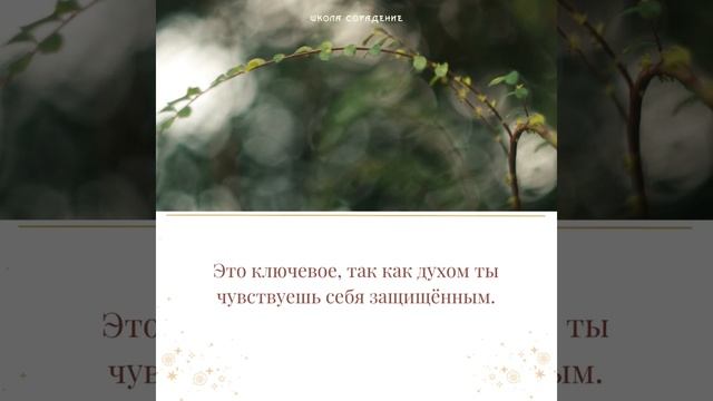 Служение Родине #сорадение__семинар