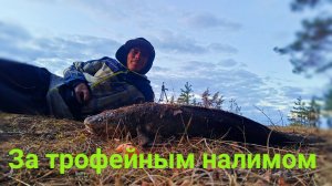 Вот в нём ДУРИ! Есть ещё НАЛИМЫ в нашей РЕКЕ. Лучшей РЫБАЛКИ я и не ожидал! Ночь в ИЗБЕ! Донка.