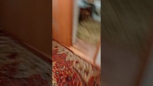 Скулбой ранавей Саша. Сбежал через ворота 1 часть