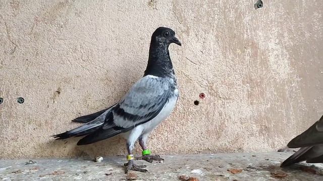 Молодежь 2020 смотреть онлайн