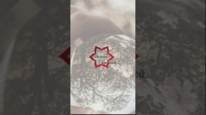Мы современники века нарциссизма