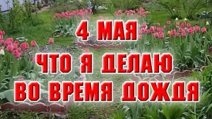 4 мая. Что я делаю во время дождя