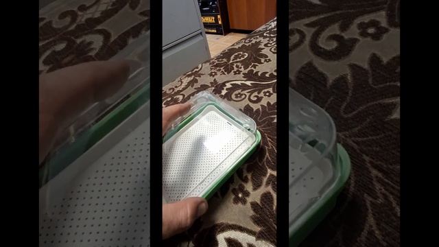 проращиватель семян и микрозелени от компании Greenart...