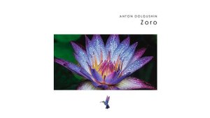 Anton Dolgushin - Zoro