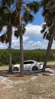 Honda accord 8/Acura TSX(CU)