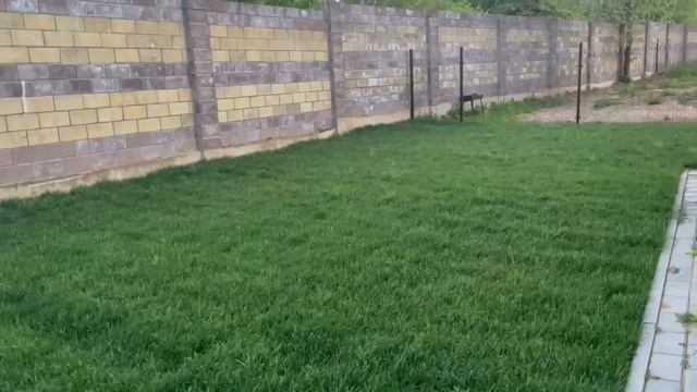 Уложили газон на участке 4 сотки! смотреть онлайн