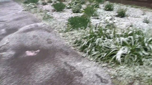 Украину засыпает снегом. смотреть онлайн