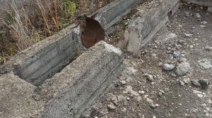 НАШЛИ НЕМНОГО МЕДИ И ПОБЫВАЛИ НА ЗАБРОШКЕ