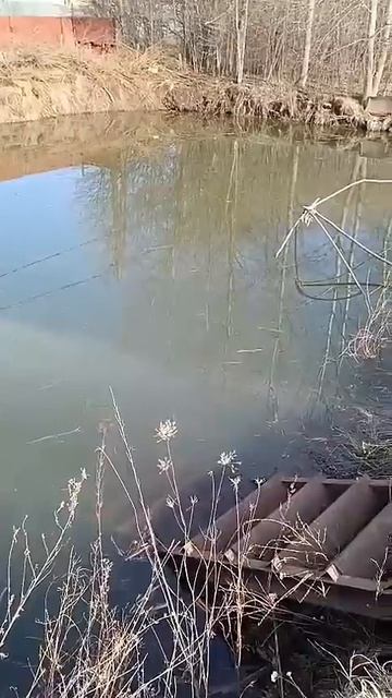 БАТЯ ПОКАЗЫВАЕТ СВОЙ ПРУД смотреть онлайн