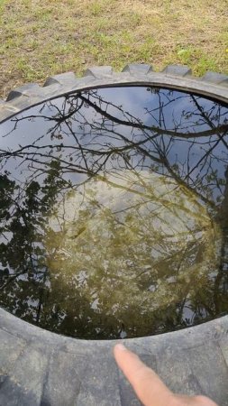 Вечная емкость для воды