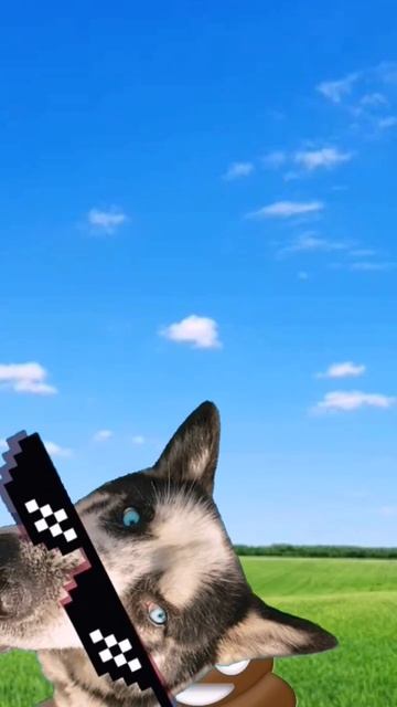 Прикол #собака #шла #огород #2022 #упала #подпишись смотреть онлайн