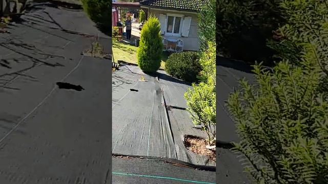 Готовим лунки в горе....для посадки гранатовых саженце? смотреть онлайн